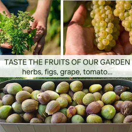 Villa Lapis Črni Kal