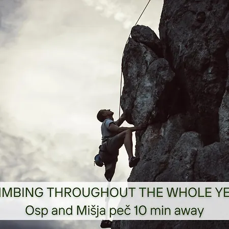 Villa Lapis Bed and breakfast Črni Kal